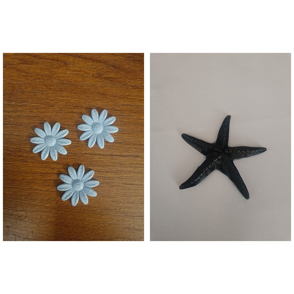 3D printed flower and starfish showpieces, decorative art, Pune